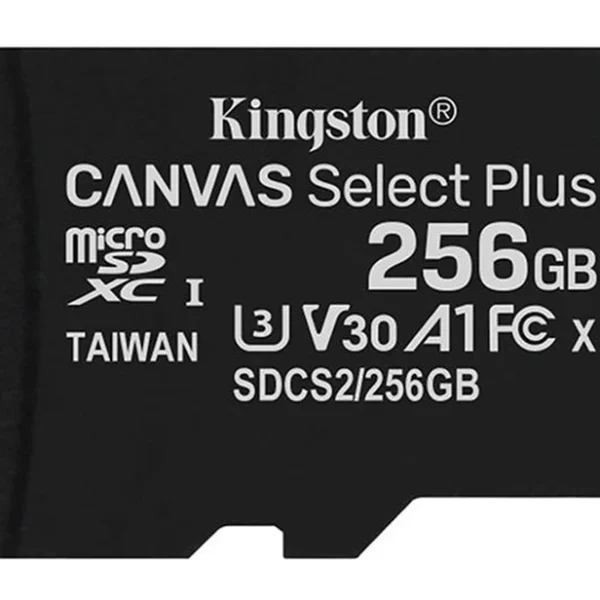Kingston SDCS2 256GB MicroSD Memory Card