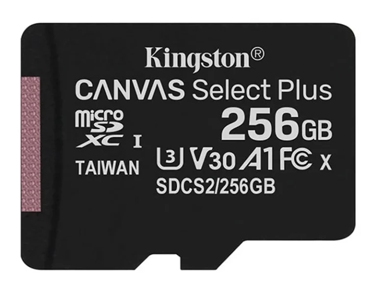 Kingston SDCS2 256GB MicroSD Memory Card