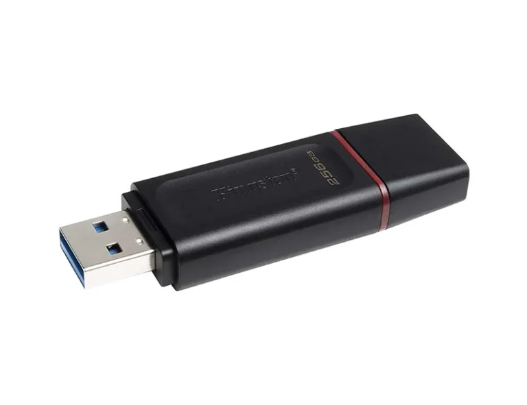 Kingston DataTraveler Exodia 256GB Mobile Disk Drive