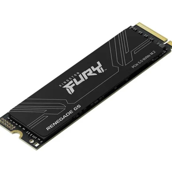 Kingston FURY Renegade G5 1TB PCIe M.2 SSD